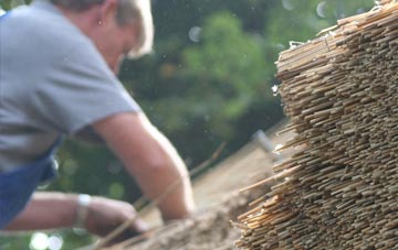 professional Meon thatchers